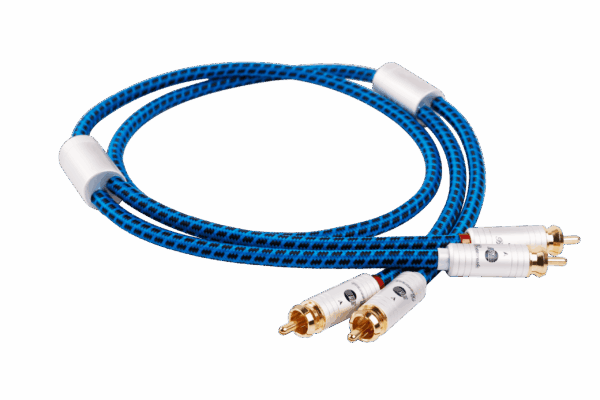 Blueberry SIGNAL.cinch2 (BB-005)