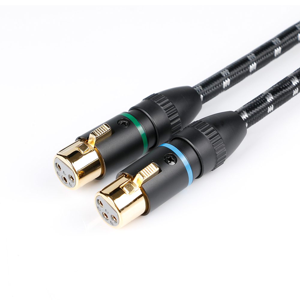 Evolution BLACK.xlr-8 (BEB-2003) – Bild 3