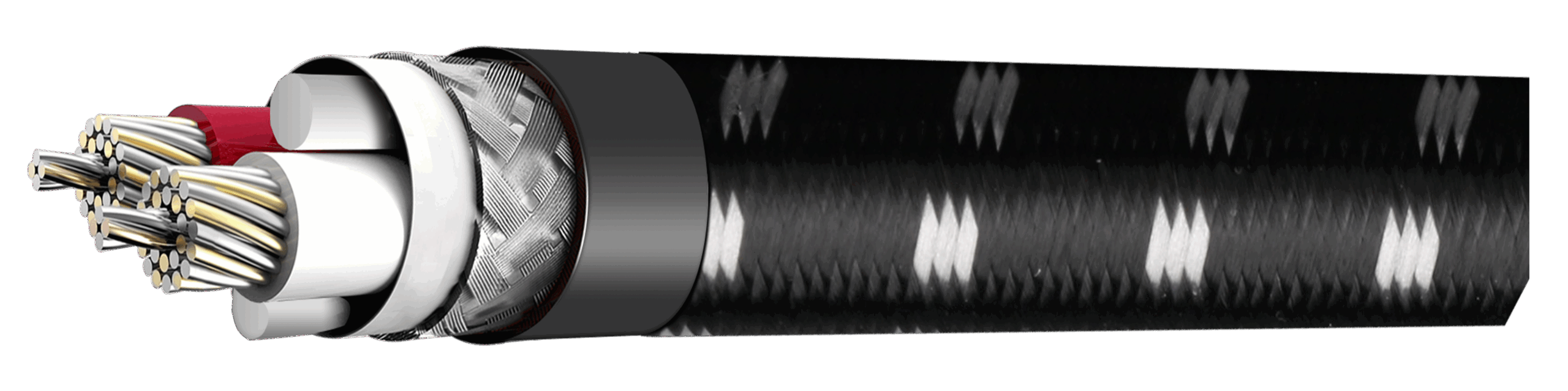 Evolution BLACK.xlr-8 (BEB-2003) – Bild 5