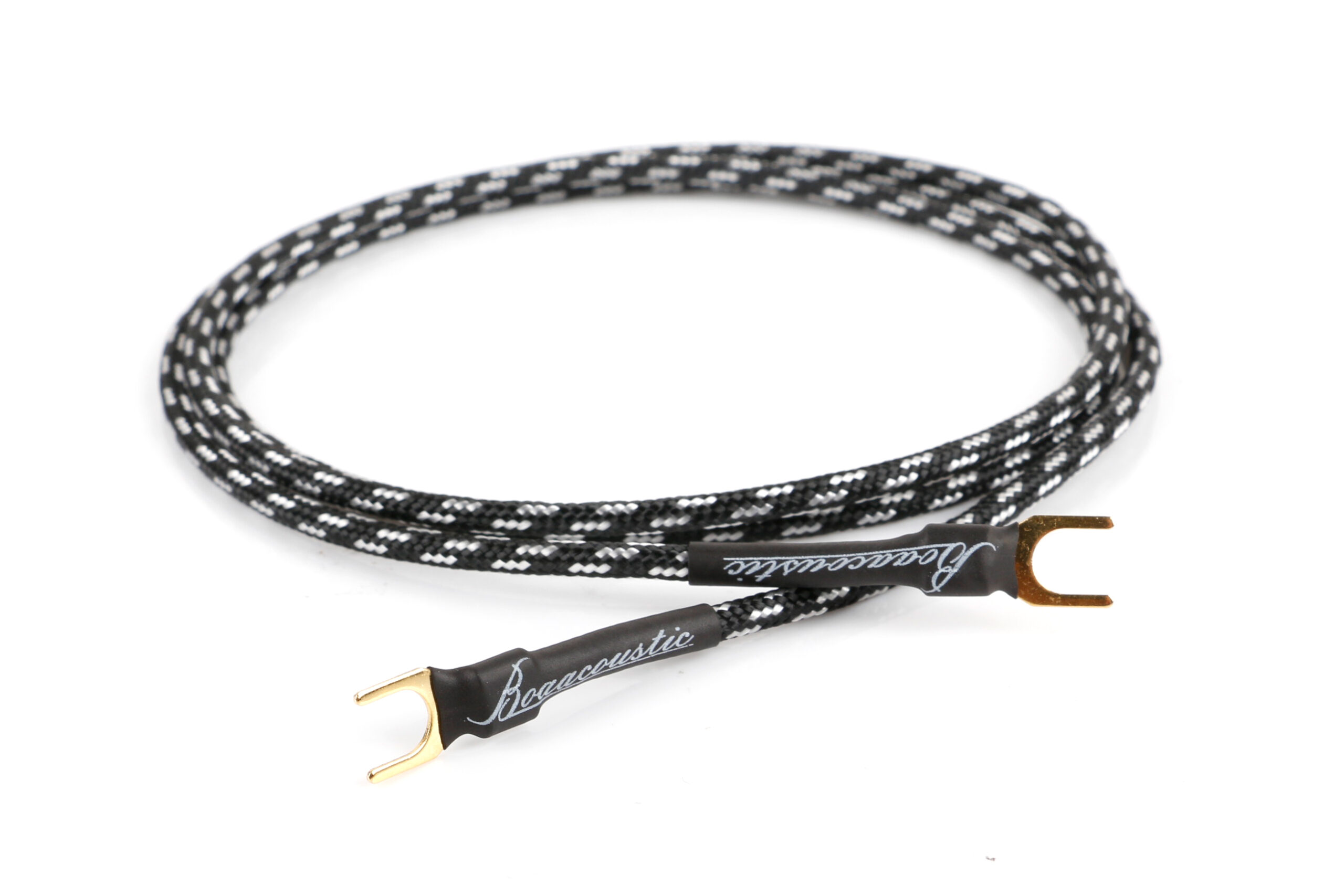 Evolution BLACK.ground (BEB-2010)