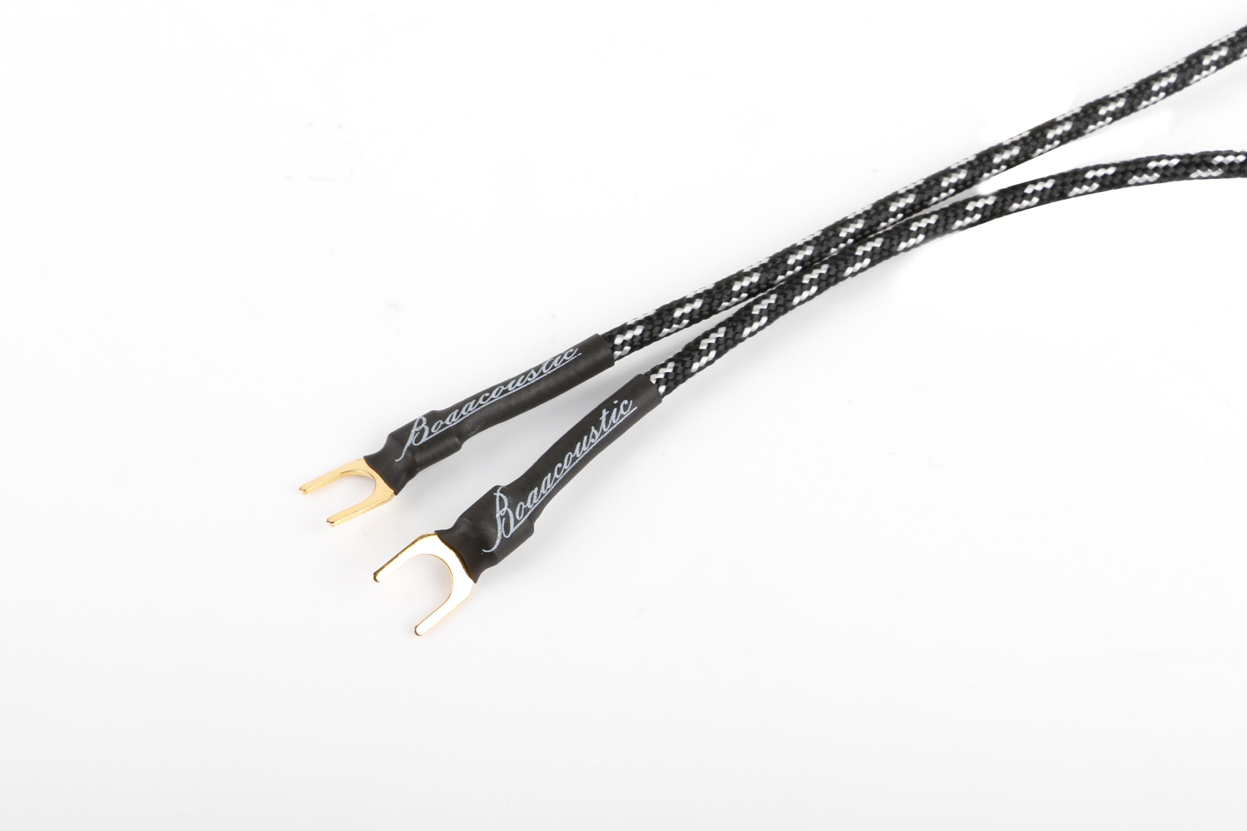 Evolution BLACK.ground (BEB-2010) – Bild 3