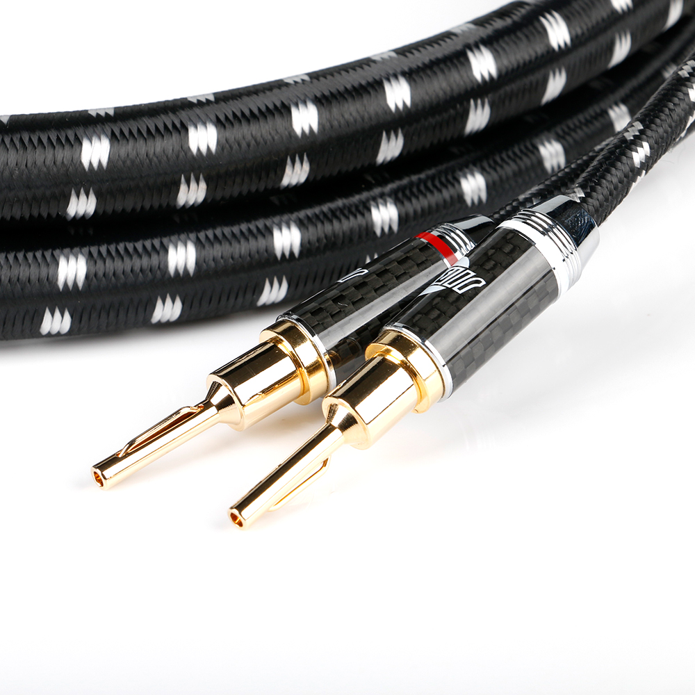 Evolution BLACK.sonic-13 (BEB-2013) – Bild 2