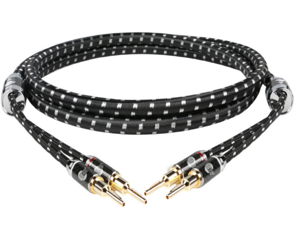 Evolution BLACK.sonic-16 (BEB-2016)