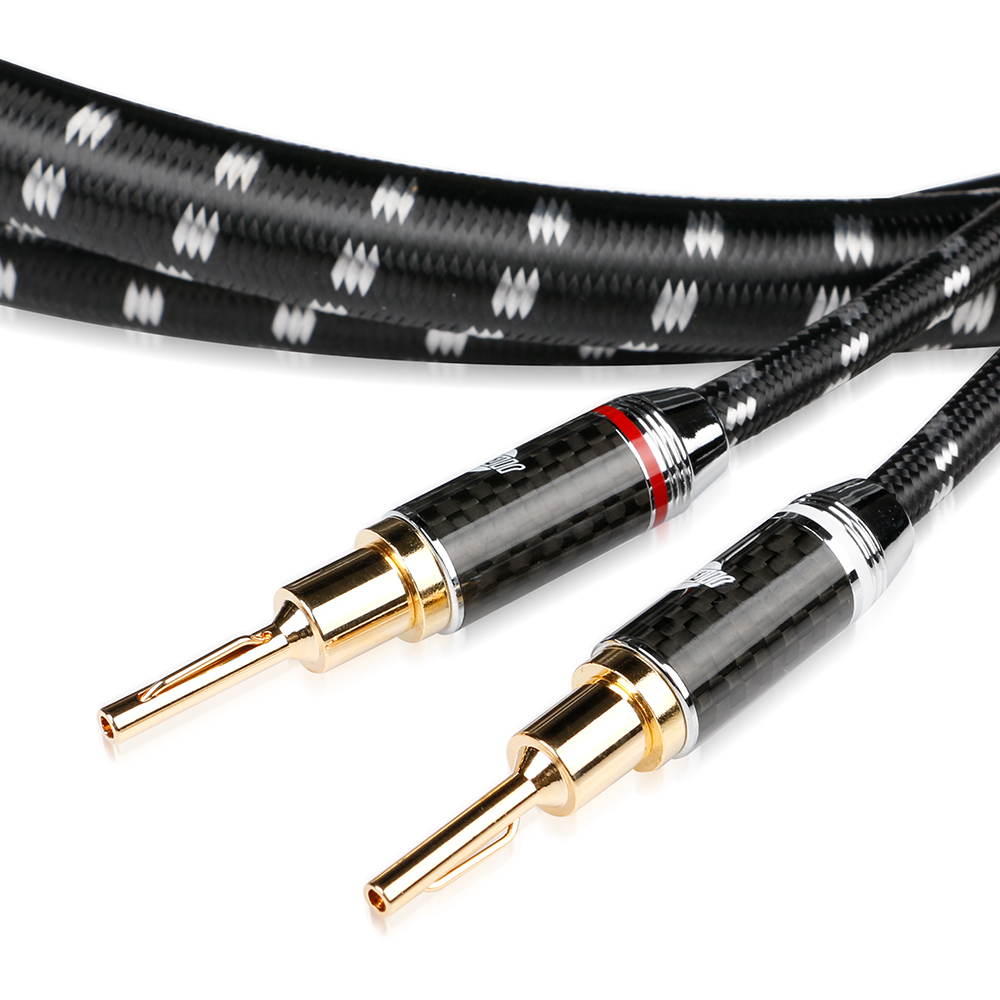 Evolution BLACK.sonic-17.biWire (BEB-2024) – Bild 2