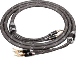 Neutron (HF-004-3.0M)